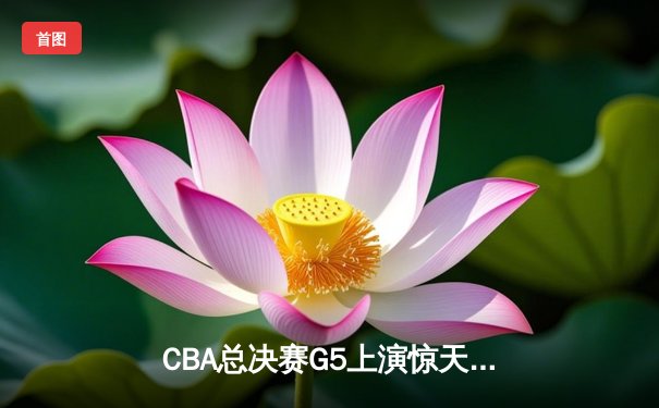 CBA总决赛G5上演惊天逆转 辽宁本钢加时险胜浙江广厦夺队史第三冠